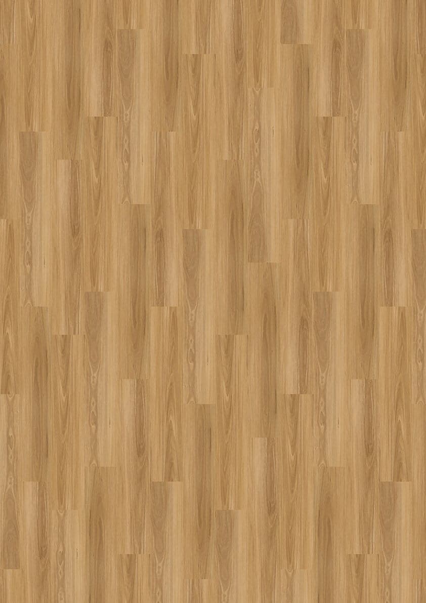 Timberland 2.5 Coastal Blackbutt vinyl plank swatch